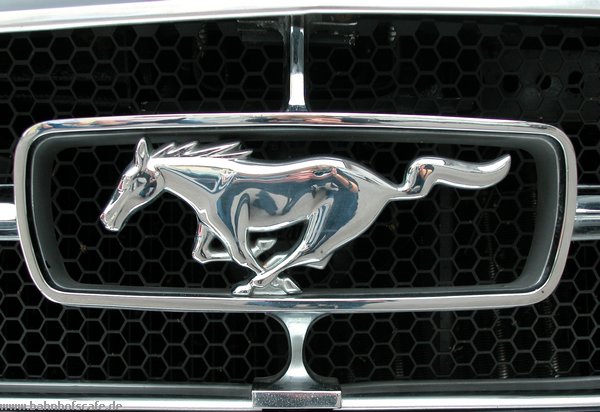 Mustang1.jpg