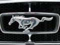 Mustang1.jpg